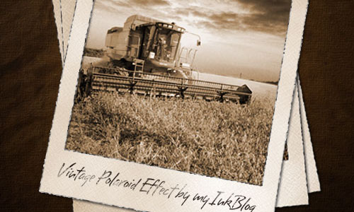 Vintage Polaroid Effect